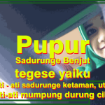 pupur sadurunge benjut apa tegese paribasan iki