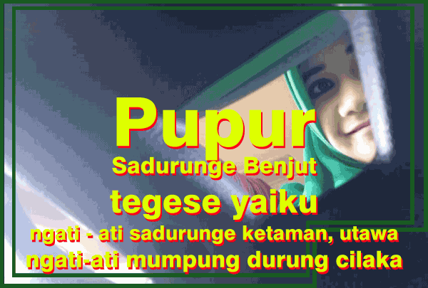 pupur sadurunge benjut apa tegese paribasan iki